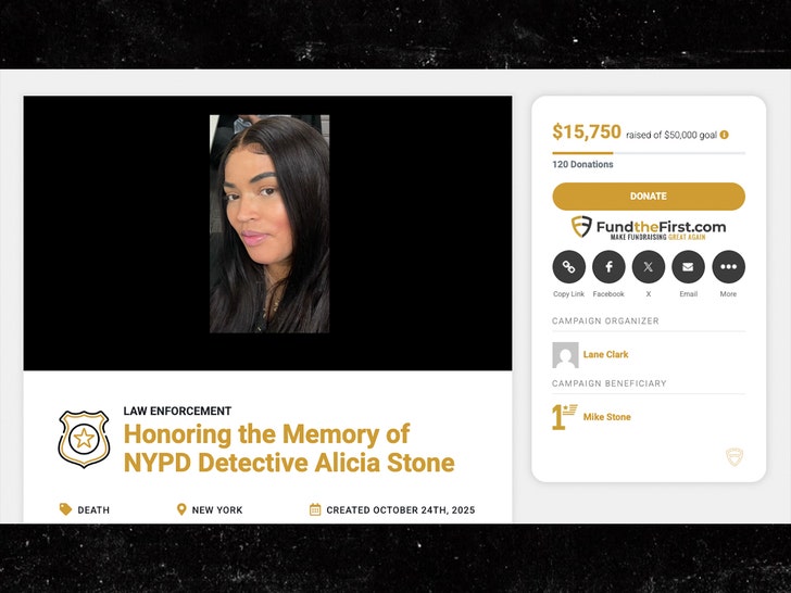 alicia stone fund the first 1