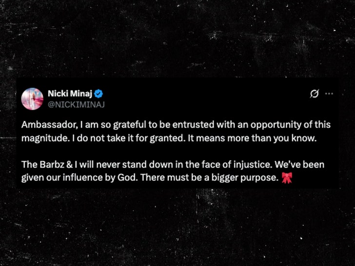 nicki minaj thanks the ambassador x