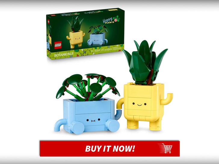 Happy-Plants-Lego-Botanicals-MAIN