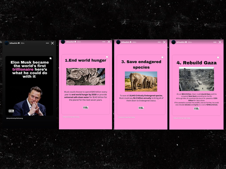 billie eilish elon musk instagram story sub