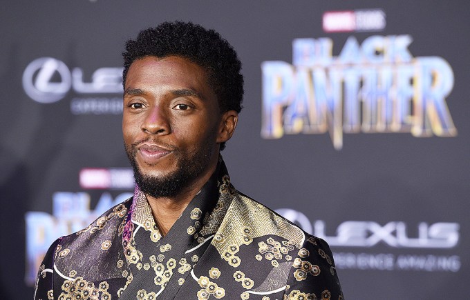 Chadwick Boseman Attends ‘Black Panther’ Red Carpet