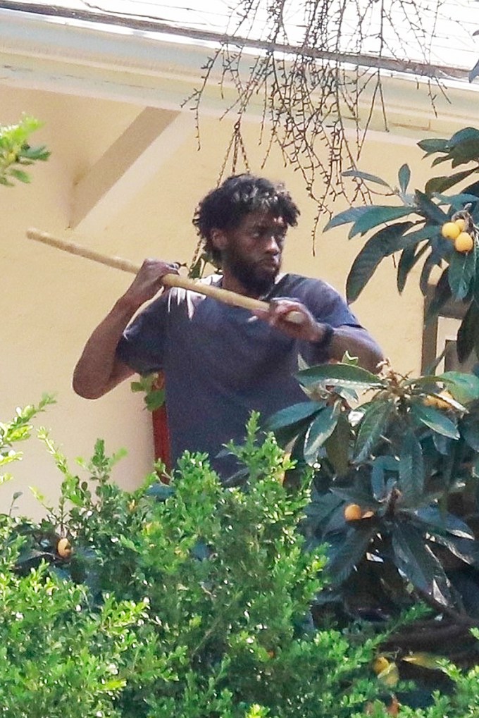 Chadwick Boseman practices his martial arts