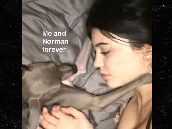 Remembering Kylie Jenner's Dog, Norman