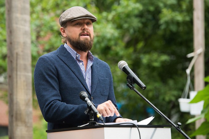 Solutions Project Garden Party