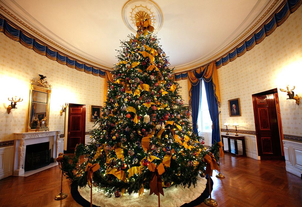 The official White House Christmas Tree, a Douglas Fir stands 18 1/2 feet high and nearly 13 feet wide, is seen in the Blue Room during the media preview of the White House holiday decorations December 2, 2009 at the White House in Washington, DC. The theme for the 2009 White House holiday decorations is "Reflect Rejoice Renew."