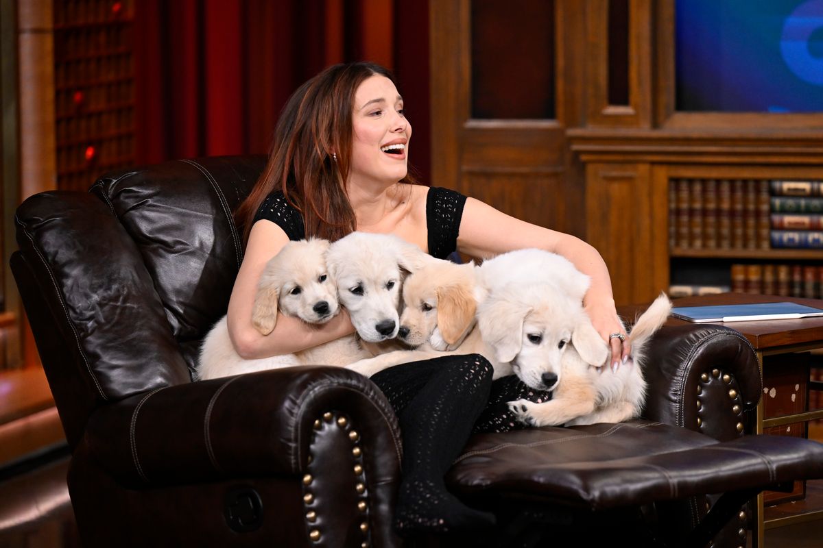 Millie Bobby Brown’s dog had hilarious reaction to her and Jake Bongiovi’s new baby