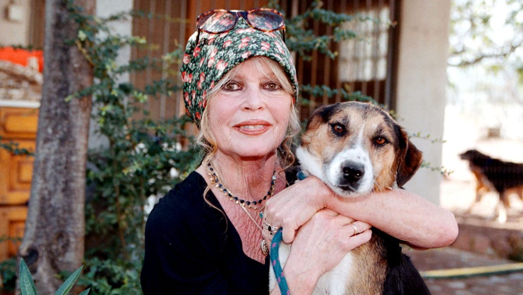 Brigitte Bardot's Cause of Death Updates: How Did the French Movie Star Die?