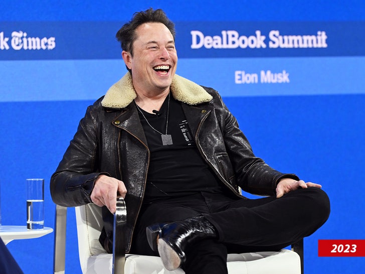 elon musk sub getty swipe