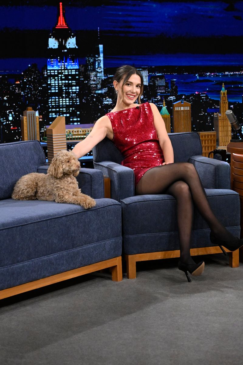 Clearly, Winnie thinks of herself as more human than canine. 