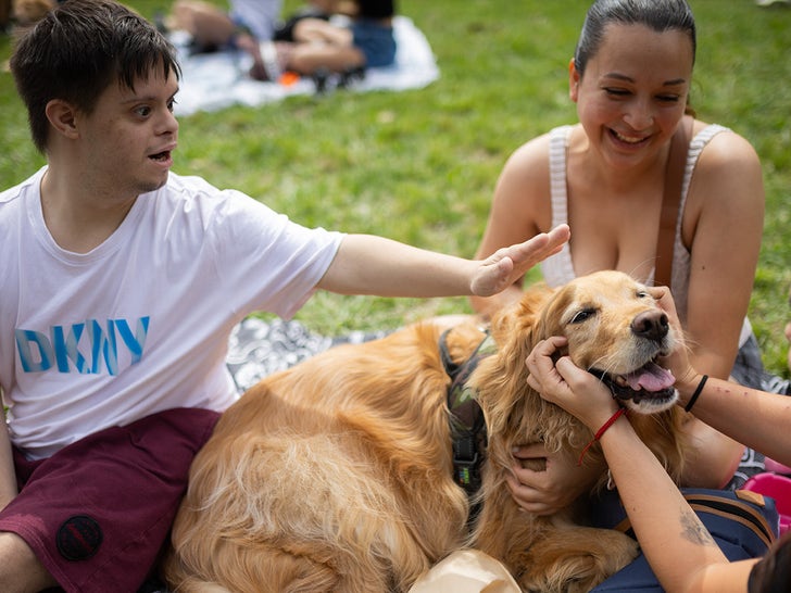 1208-Golden-Retriever-SUB-1