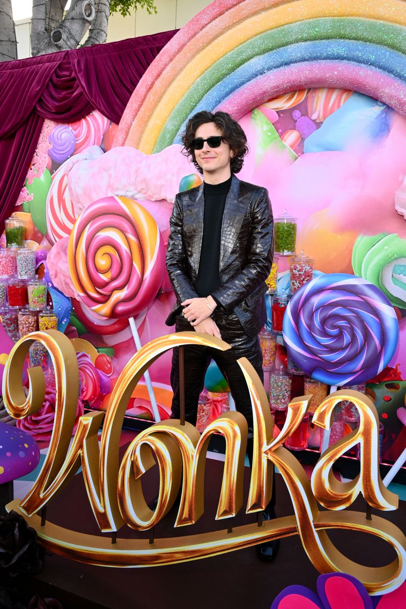 Timothée Chalamet at the premiere of "Wonka" in Los Angeles, California