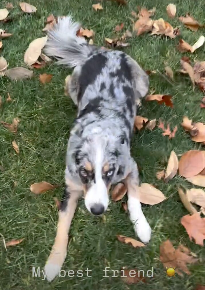 Bella shared a video playing with her adorable dog