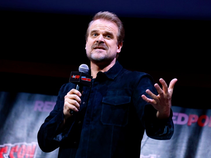 David Harbour Through The Years 3