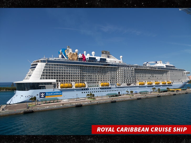 Royal Caribbean cruise ship sub getty swipe