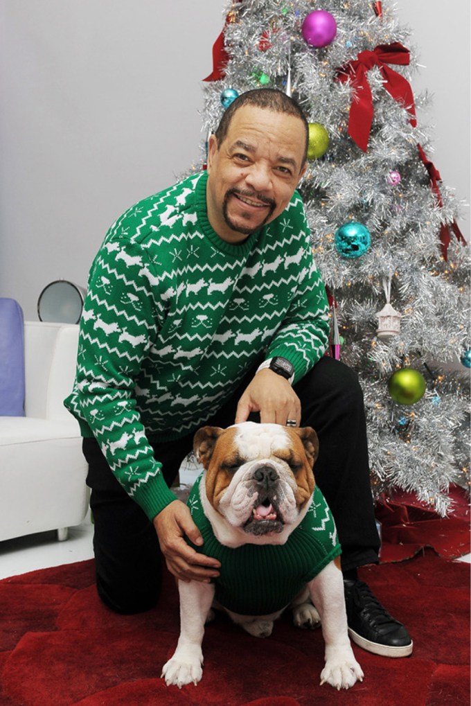 Ice-T