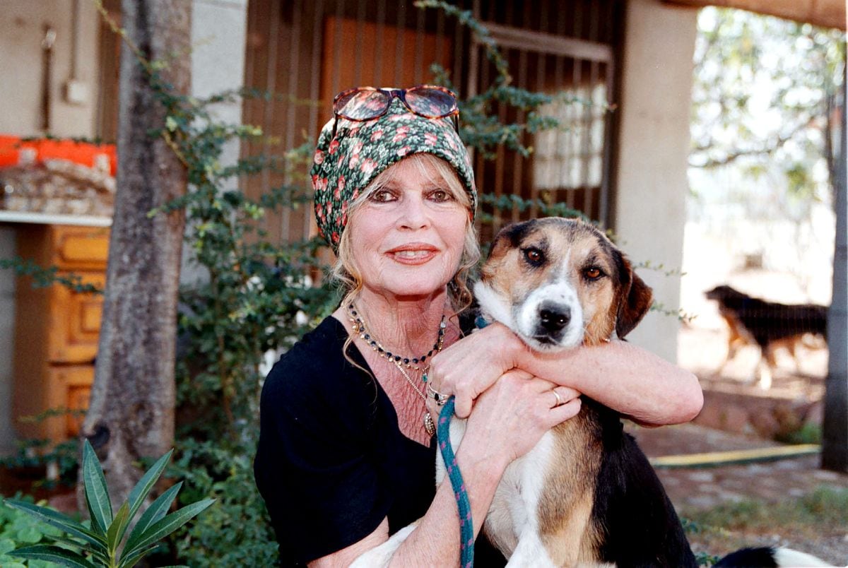 Bardot died before dawn on Sunday at the age of 91 at her home in southern France. 