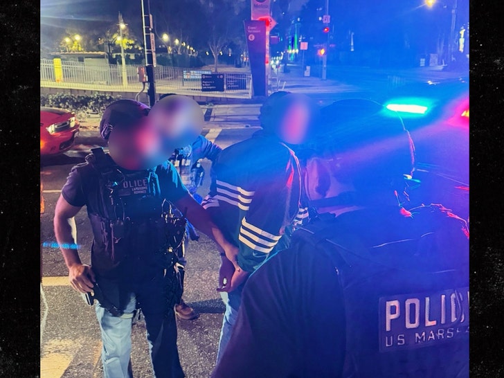 reiner arrested instagram 2