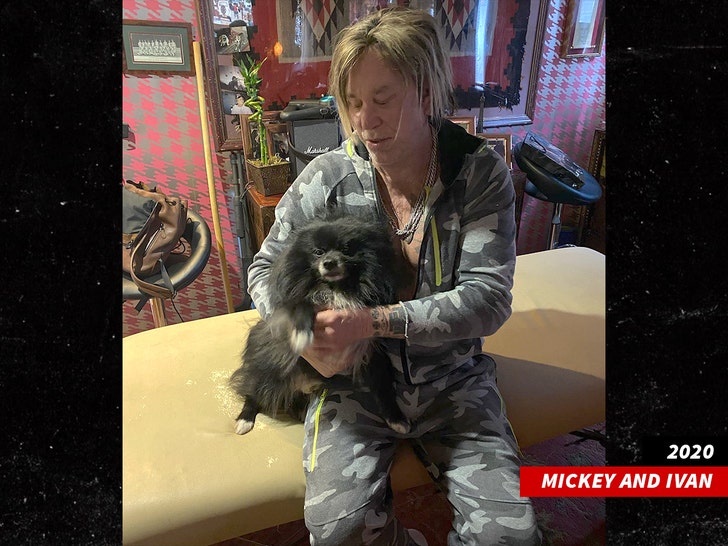 mickey rourke and dog insta 1