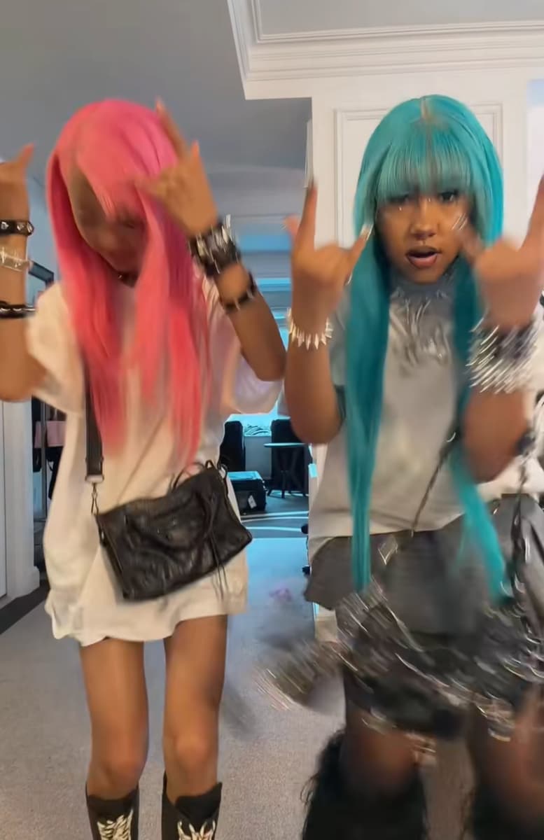 North's videos get millions of views