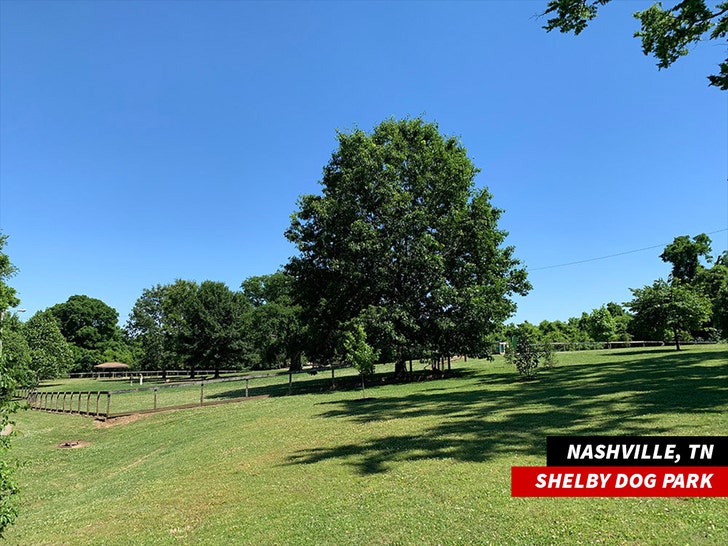 Shelby Dog Park Nashville TN friends of shelby 1