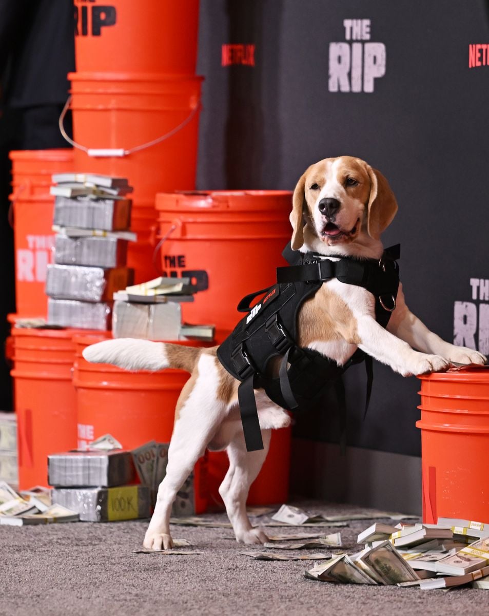 Sasha Calle and Catalina Sandino Moreno bring a piece of Colombia to 'The Rip'