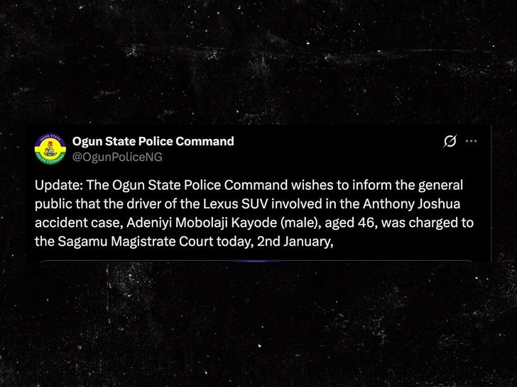 ogun police statement