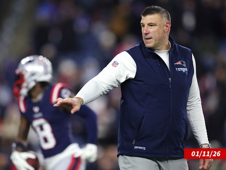 Mike Vrabel sub getty swipe