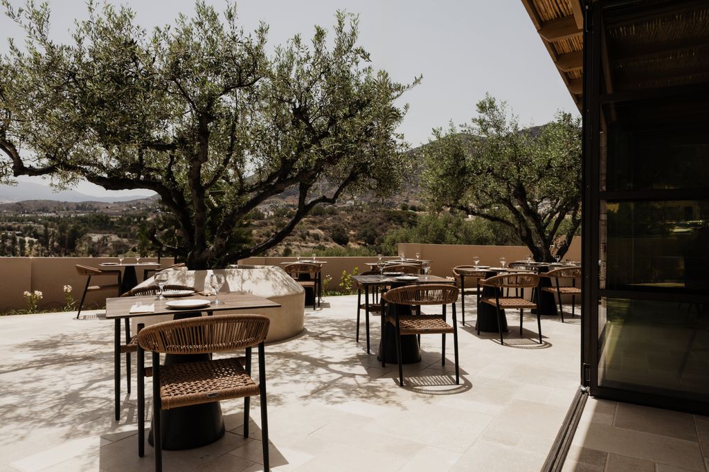 Seasonal menus at Elia Restaurant showcase Cretan produce at its best