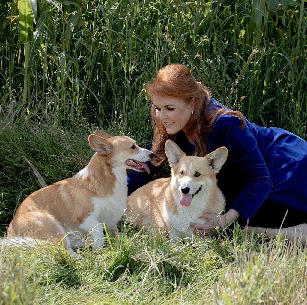 Sarah Ferguson with the late Queen's pet corgis