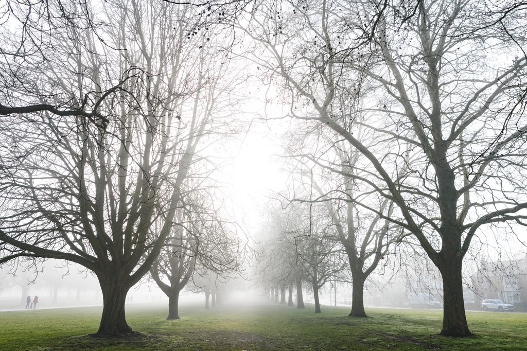 Windsor Great Park is reportedly home to a ghost