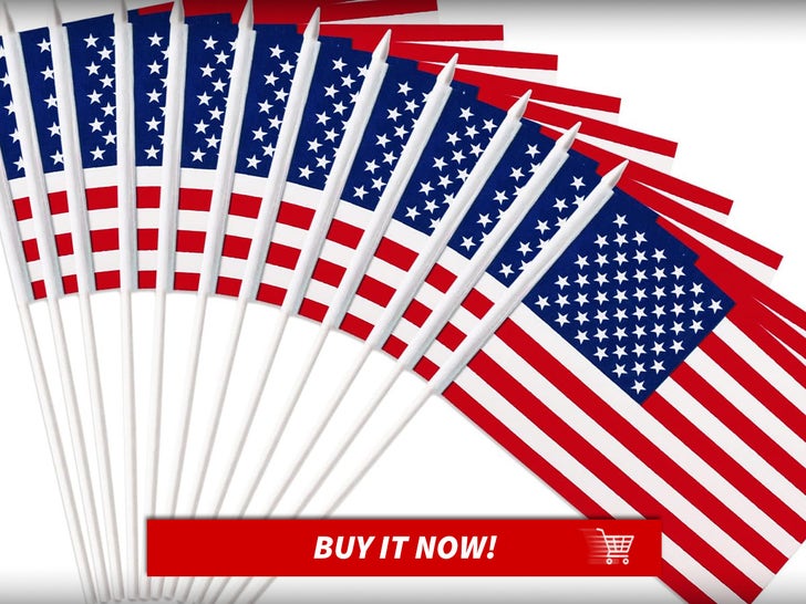 Mini-Flags-Winter-Olympics-Opening-Ceremony-Gear-MAIN