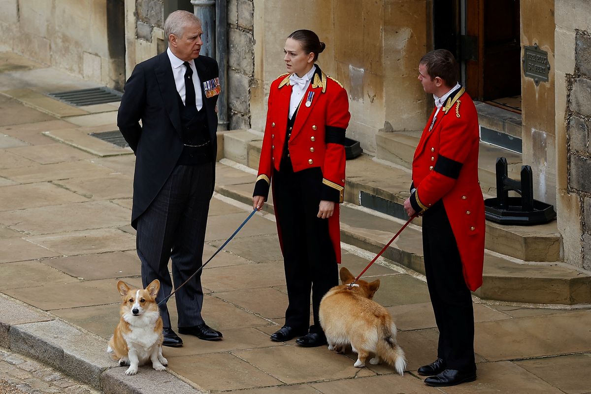 Prince Andrew is the caretaker of the Queen's dogs