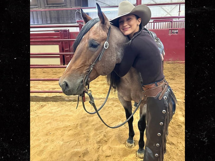 0217-Stars-With-Horses-Sub2