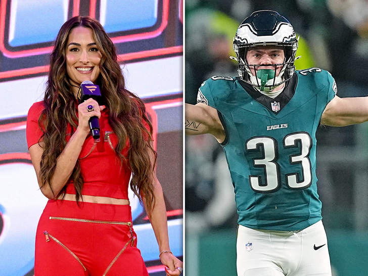 nikki bella cooper dejean split sub getty