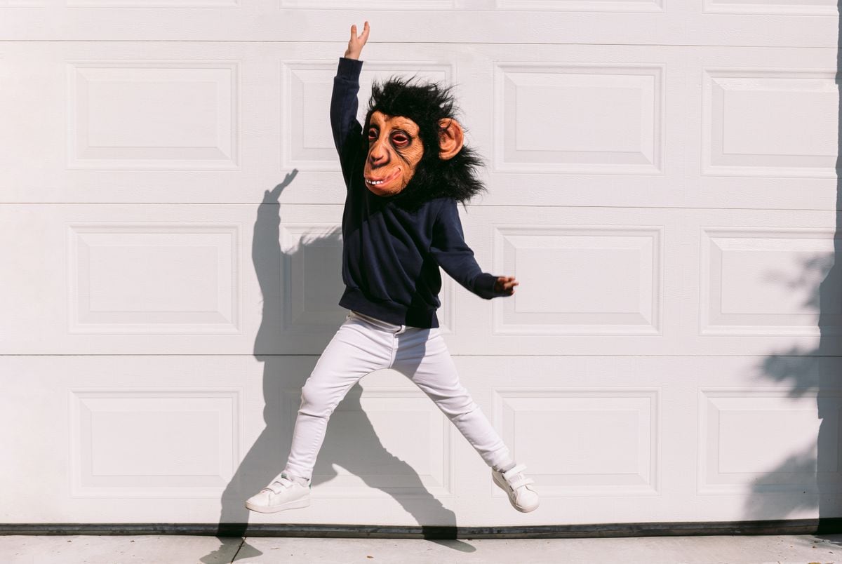 What are Therians? The viral phenomenon taking over Latin America