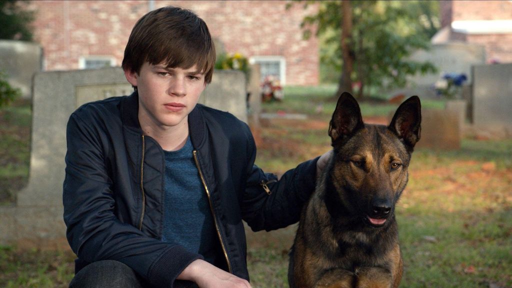 Josh Higgins and a dog in a graveyard in a still from Max