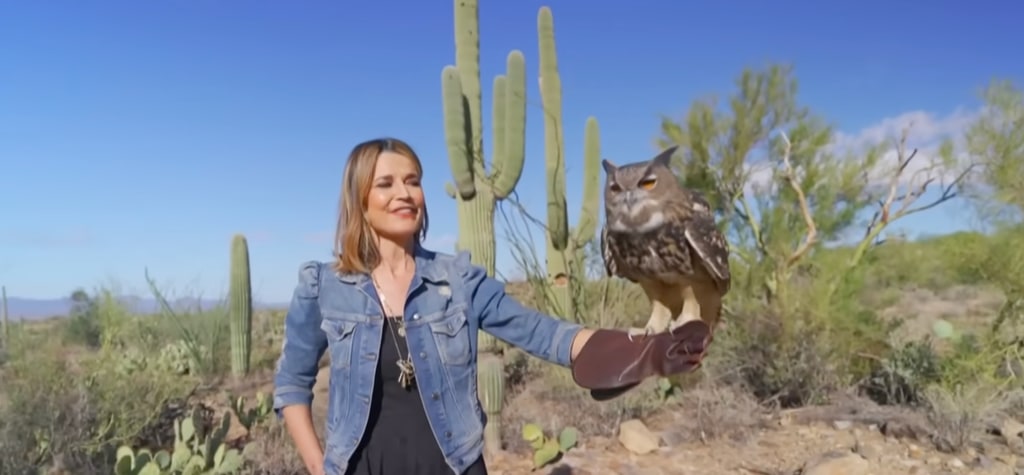 Savannah Guthrie in denim jacket in desert in Arizona