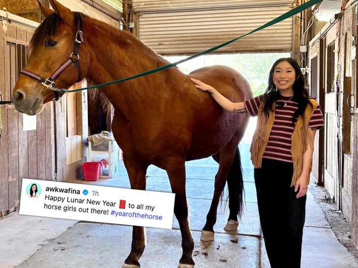 0217-Stars-With-Horses-Sub1