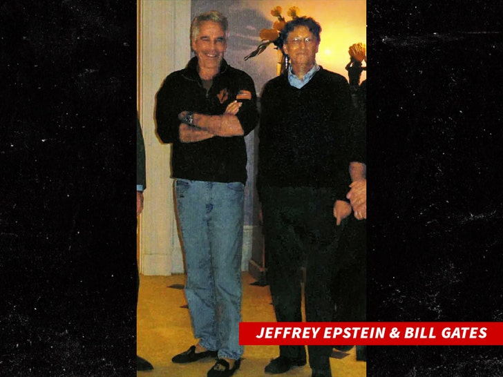 jeffrey epstein and bill gates no credit 1