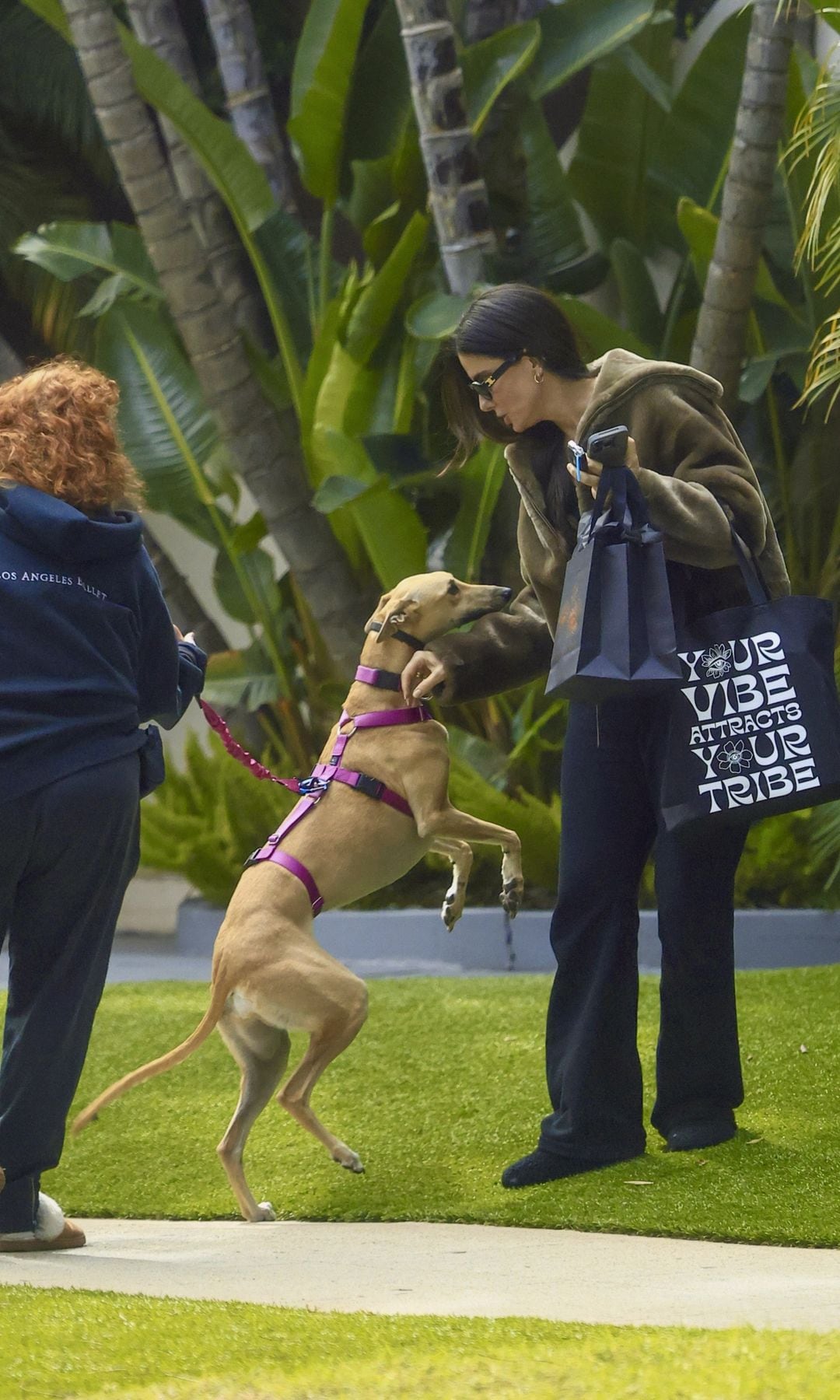 She had a sweet encounter with a dog