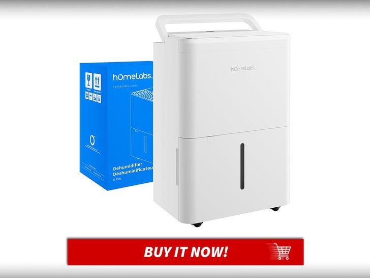 hOmeLabs-Dehumidifier-Cleaners-For-Spring-MAIN