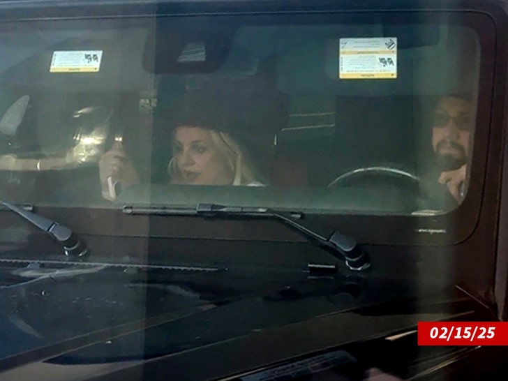 britney spears backgrid paul soliz