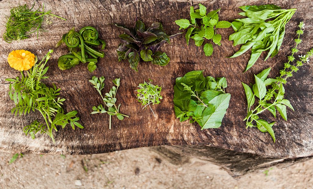 fresh ingredients from likuliku resort garden