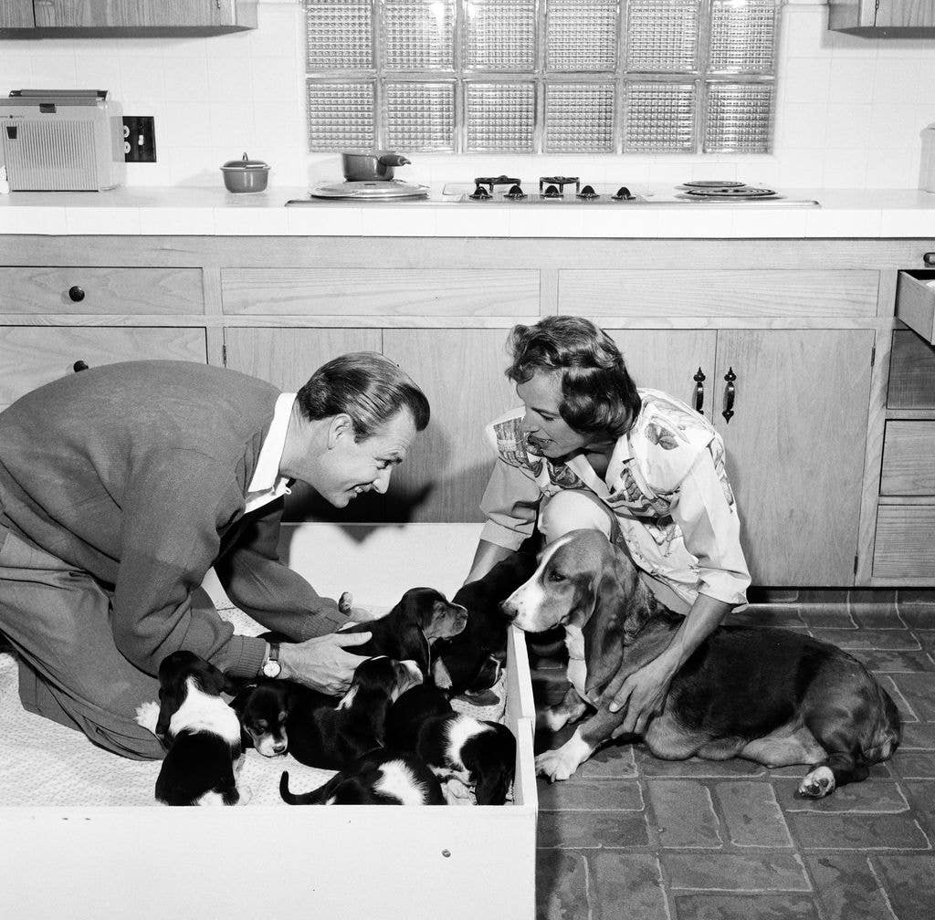 bob barker dorothy jo gideon dogs