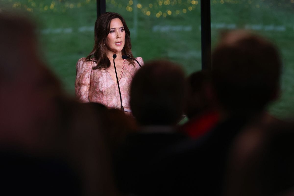 The dress has been in her wardrobe since at least 2022, when she first wore it during a family Christmas trip to Tasmania