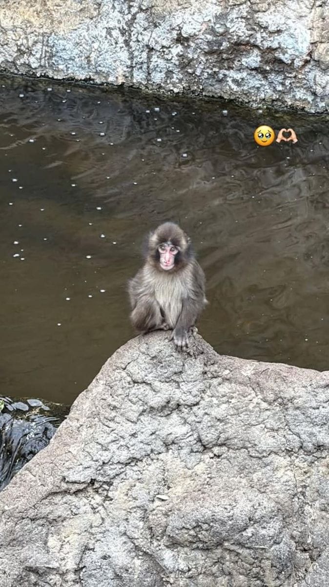 Lisa was touched by her visit to see 'Punch'