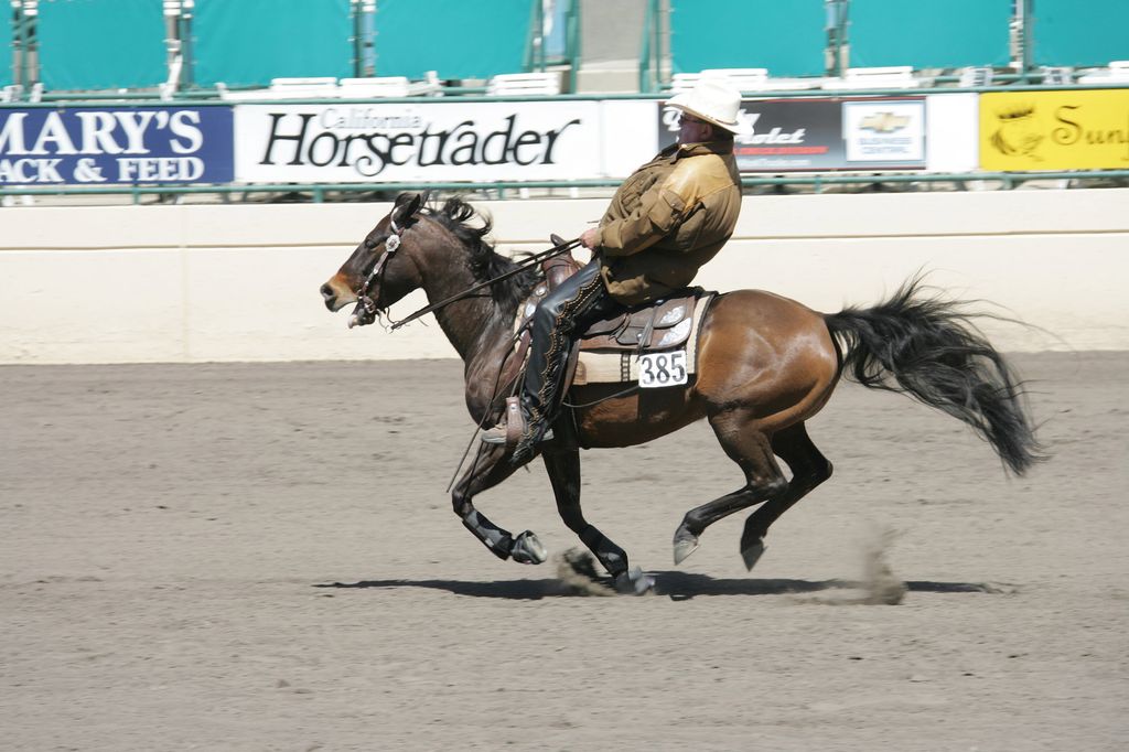 William is an accomplished horseman