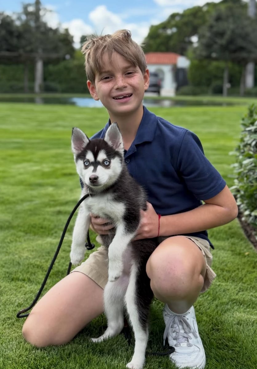 In the images, the youngest son, Theodore James, can be seen gently petting Aspen and playing with him, while videos show the eldest daughter, Arabella grinning from ear to ear at the arrival of their special new family member. 