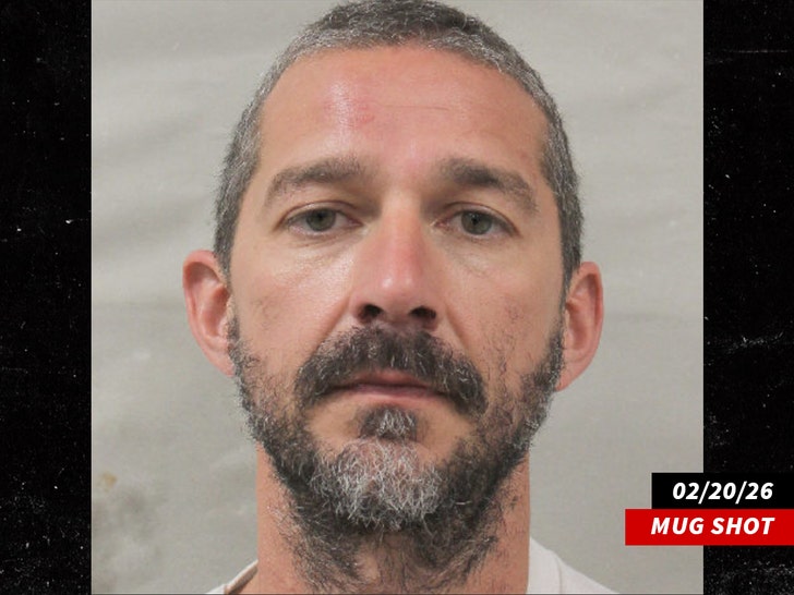 shia labeouf mug shot 1