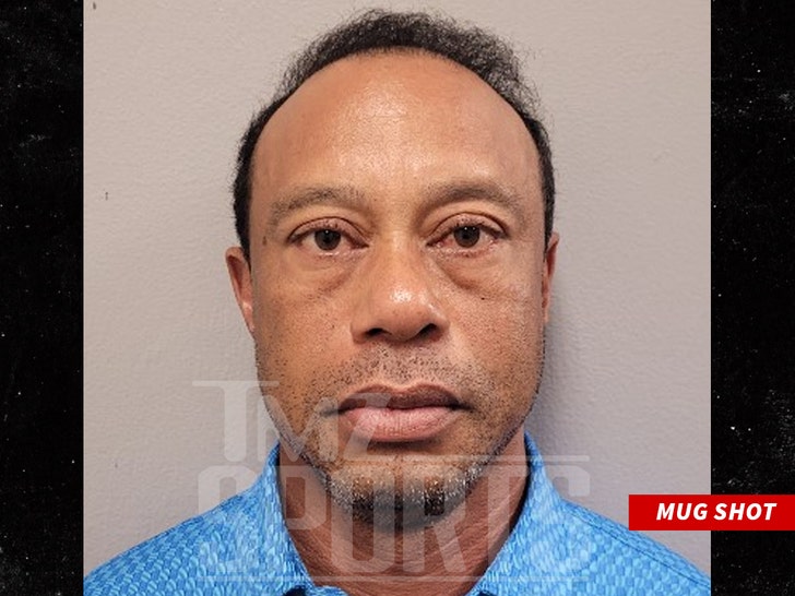 tiger woods mug 2